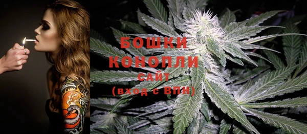 дмт Аркадак