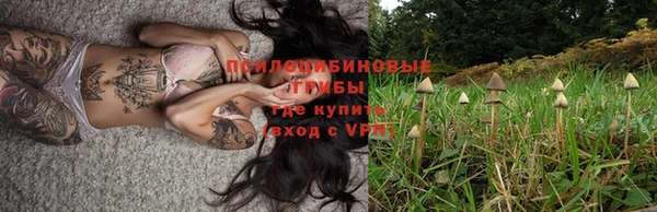 твердый Новозыбков