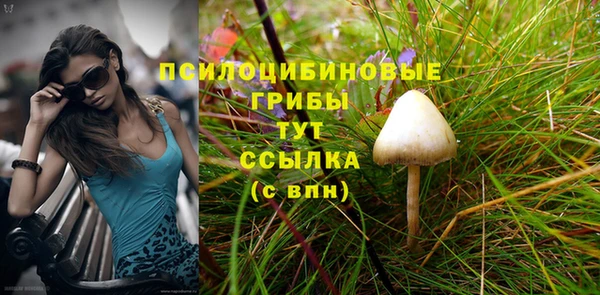 молекула духа Балахна